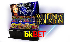 Premium Interface bkbet